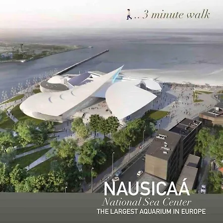 Face A La Plage Et Nausicaa Princess * Boulogne-sur-Mer